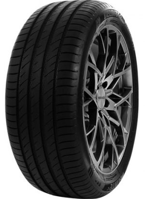 dt-ds2xl.jpg DT 97W DELINTE DS2 XL 245/35 ZR19 TL 97W DELINTE DS2 XL