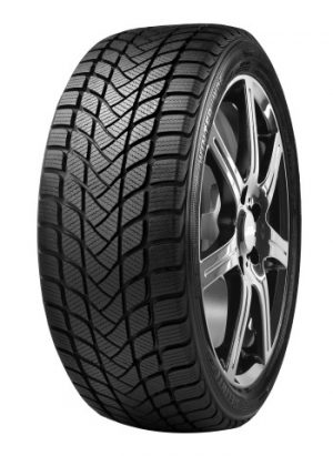 DT 84T  DELINTE WD6 175/65 TR15 TL 84T  DELINTE WD6